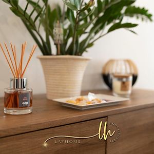 Chaleureux, Lumineux Et Confortable F2 Renove En Plein Coeur De Nancy